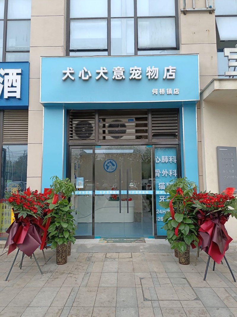 建湖宠物店
